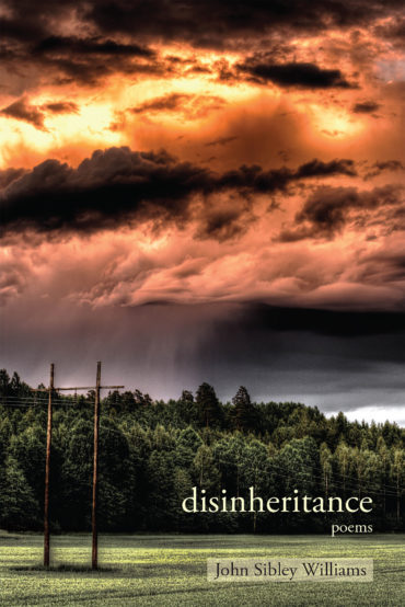 9781627201315-Disinheritance-COV.indd